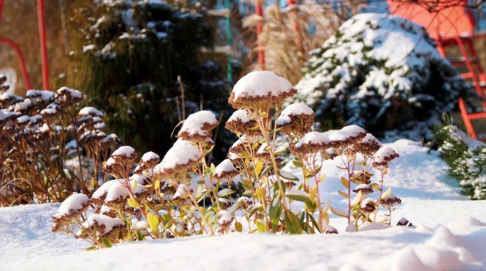 ��� ��������� �������� �����: ������ � ������������