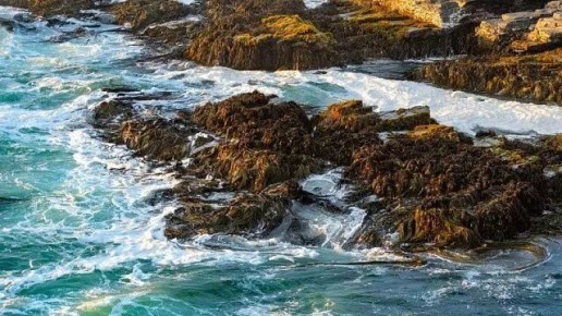 ��������� ����: ����� ��������� ��� ���������� ������