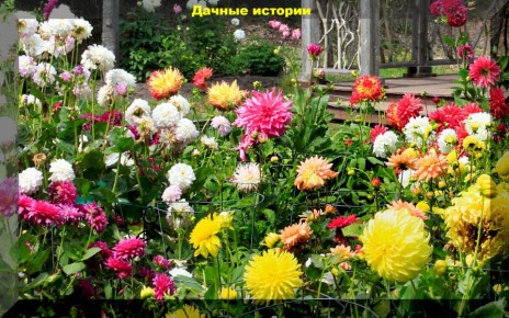 ����������� ������ �������� �������: �� ����������� �� �������� �������