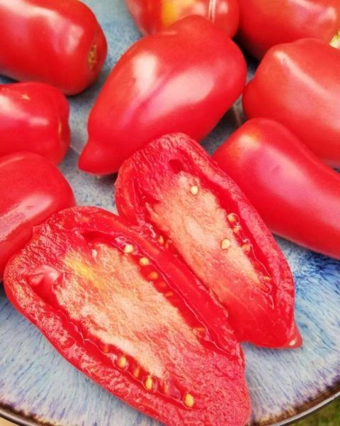 ����� ����� ����: ��� ��� ������������ ����������� ��� ������