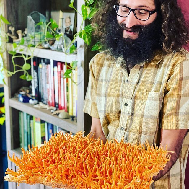 ����� ����: ��� ���� �������� ����� ����������� � �������� �����