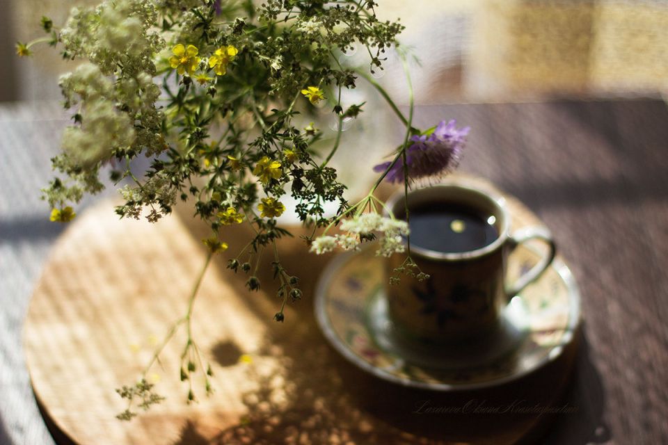 ��� ���������� ����� ������� ����� �����: ����������� �������� �������