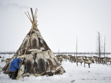 ����� �������� ����� � ������� ������ ����� ��� �������� �������