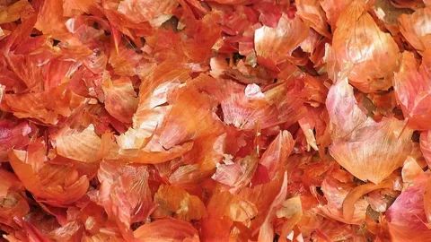 ������� ������: ������ �������� ��� ������ ����