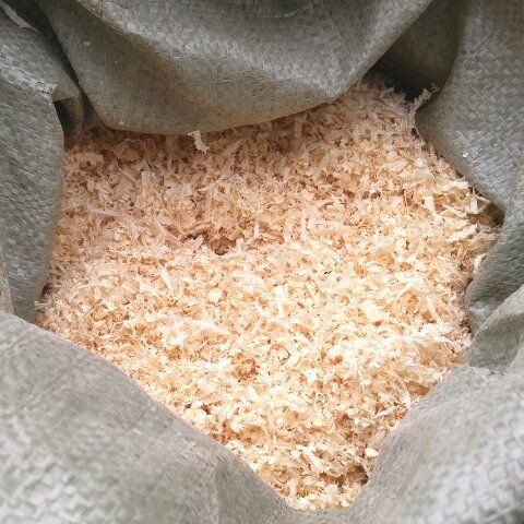 ������ � �������: ��� ������������, ����� �� ���������