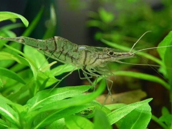 ��������� �������� � ����� �����������������