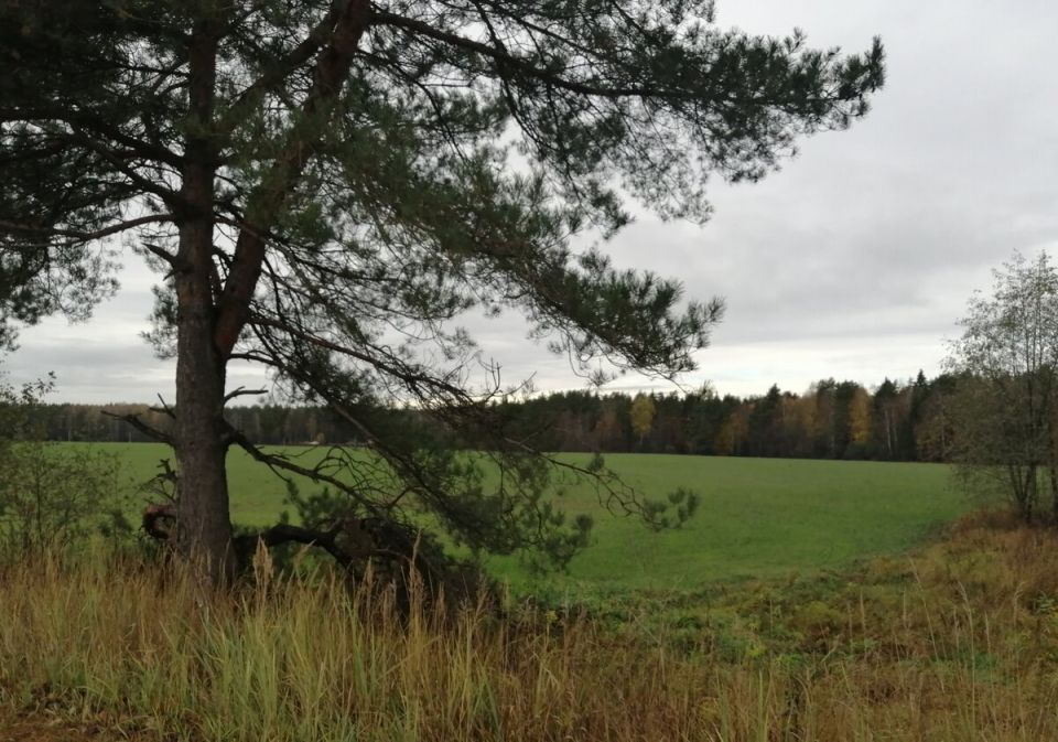 �������� � ������ �������: ��� ����� ������ ������ � ����������