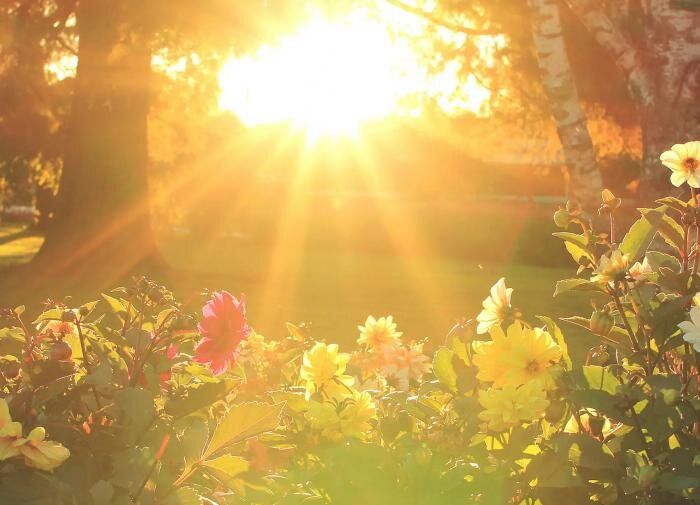 ��������� ���������� ���������� ���������: ��� ��� ������ �� ��� ���