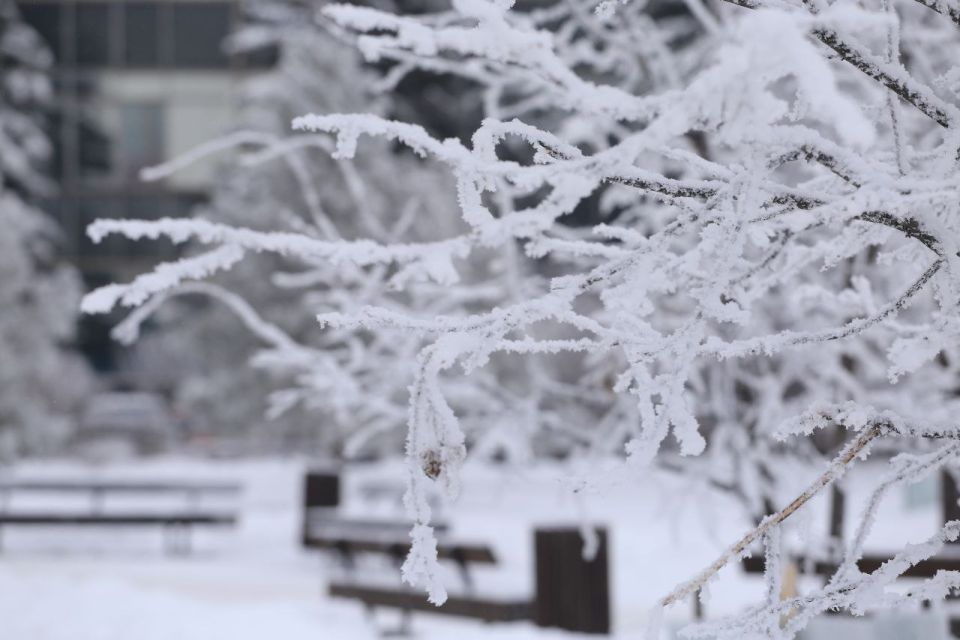 ��������! �� ������ ����������� ��������������, ����� 17 ������� ������� �� ���������� ��������� ������� ����, ��������� ��������� ��� ������� 500� � �����