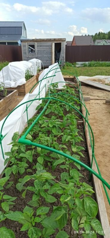 ������������� ������ ��� ������� Polyagro: ��� ������� ��������� ������ �� ���