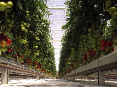 � ������� ������� ������: ��� ����� ��������� �������� ������� ���� � ���������