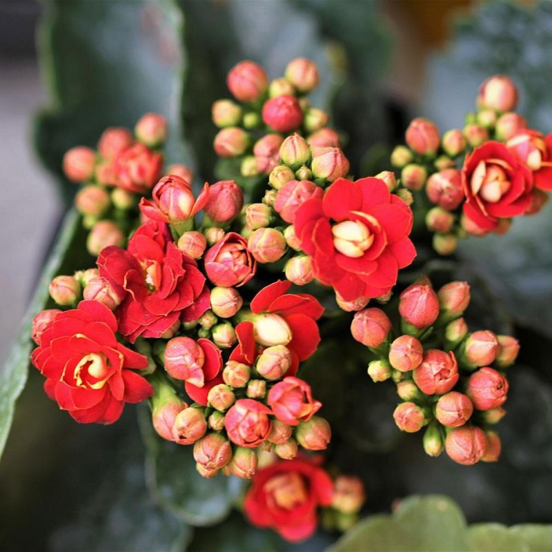 ��� ����� ���������� ��������: �������� ������ � ������