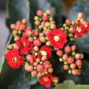 ��� ����� ���������� ��������: �������� ������ � ������