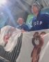 На Олимпиаде: Как российские болельщики нарушают запреты