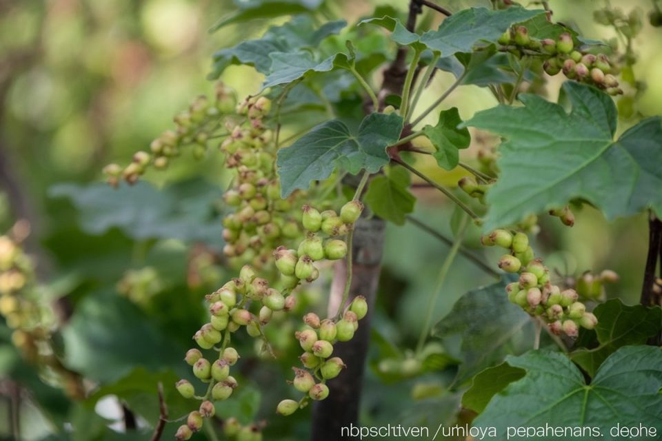 ������ ������ ����� ��������� ����� ��������� ��� ������ � ��� ����� ��������