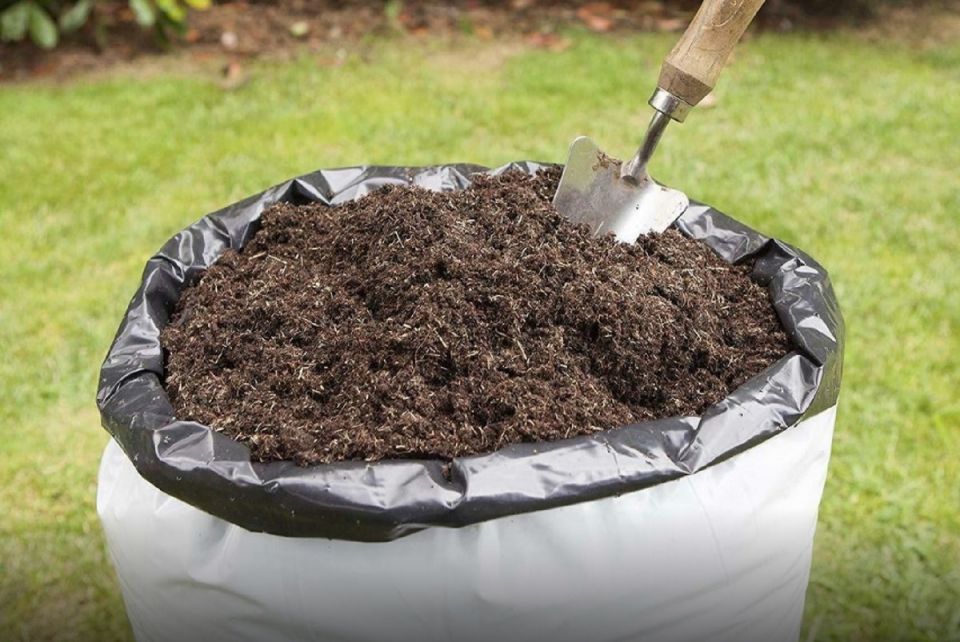 ��� ��������� �������� ����� � ������� � ������� ������: �������� ������