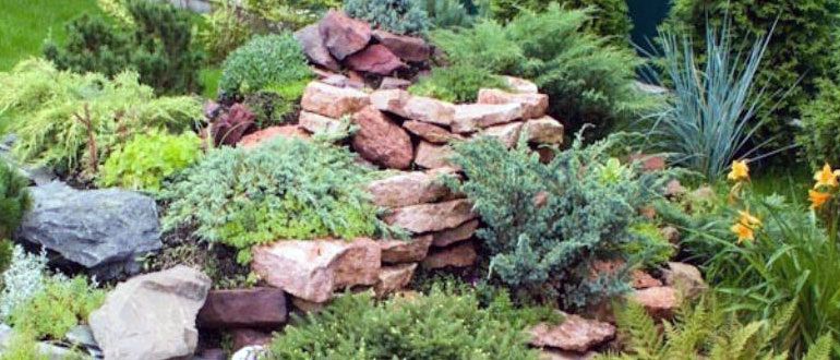 ��� ������� ��������� ���������� �����: ������� � ������