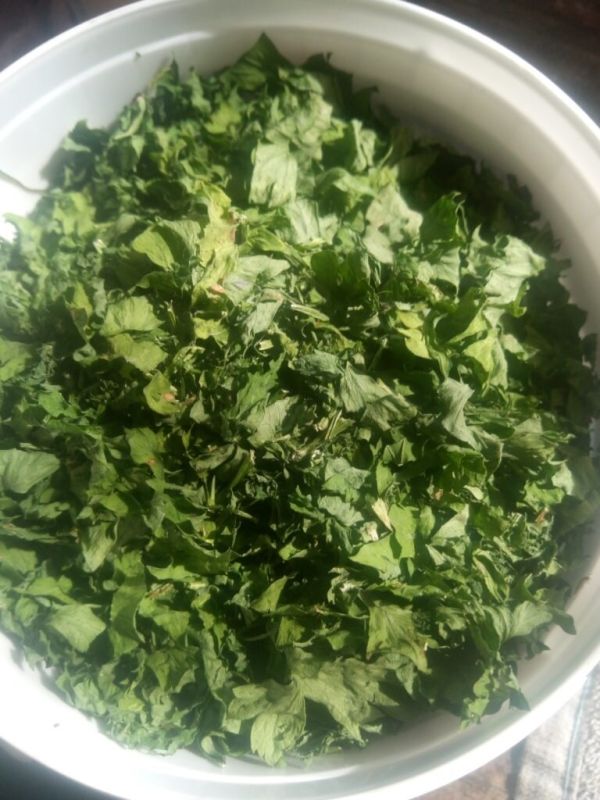 ������� ��������� ������: ��� ��������� ����� ����� ����