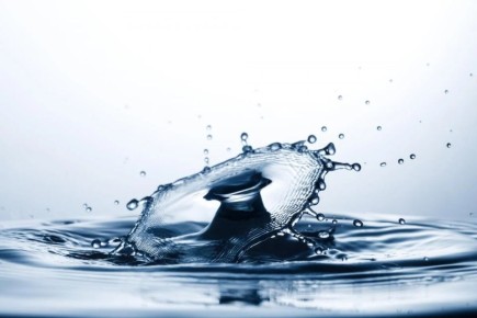 ������ ����������� ���������� ��������� �����������, �������� ������������� � ������