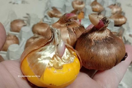 ��� ��������� ������ ����������: 10 ������ ����� � 3 �������� ������