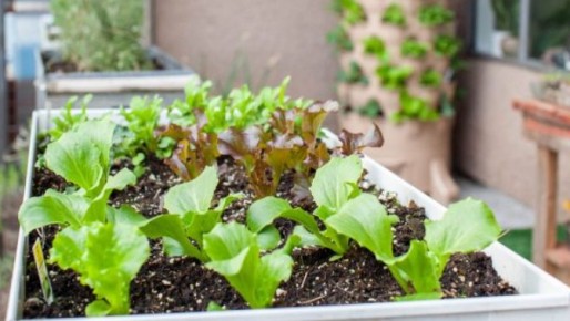 ������������ ����� ����������� ������, ������� ��������� ������ ���� �����