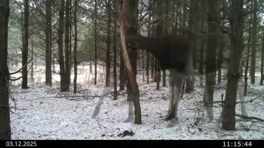 ����������������� ��������