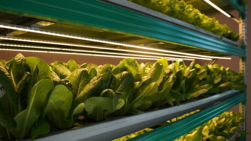 ��� ��������� ������ �����: ������� �������� ������