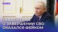Слухи о завершении СВО: фальшивый указ подогревает обсуждения в сети