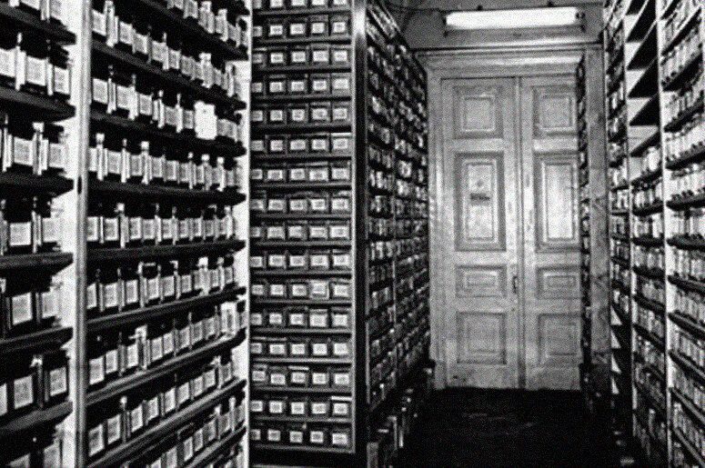 ������ F1: ����������� ����� � ���