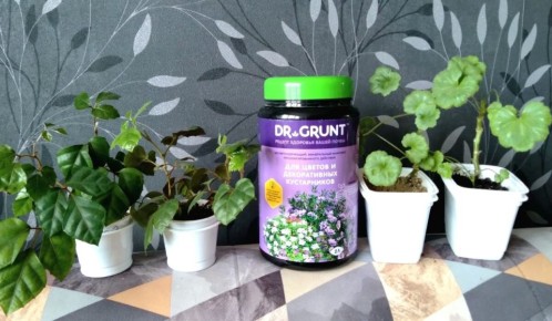 Тестирование почвоулучшителя: как цеолит влияет на здоровье растений