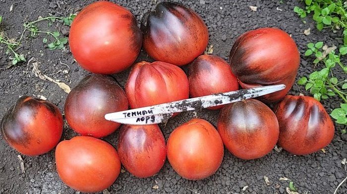 ����� ������ ����: ���������� ����� ��� ��������� ��������