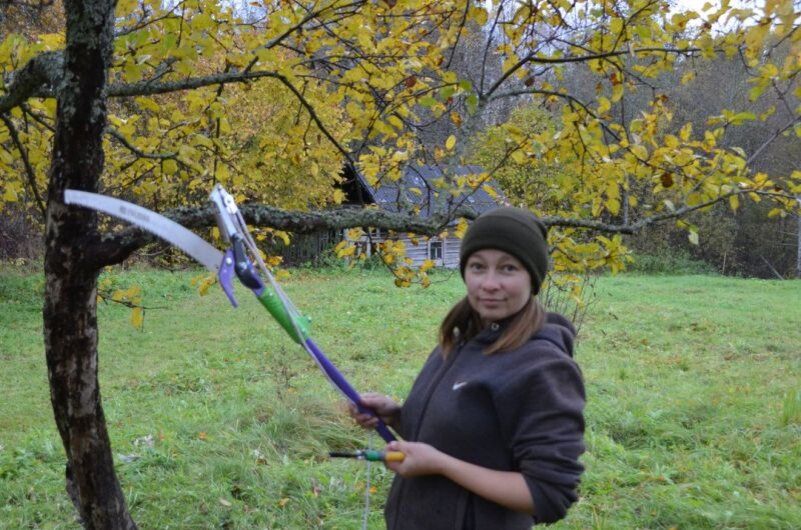 ��� �������� ���������������� ������ ��� ������� ������