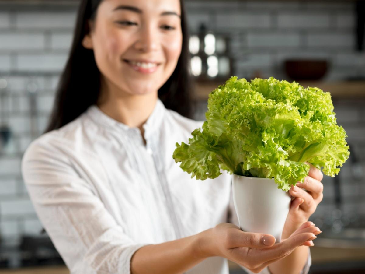 Секреты успешного выведения салата на подоконнике зимой