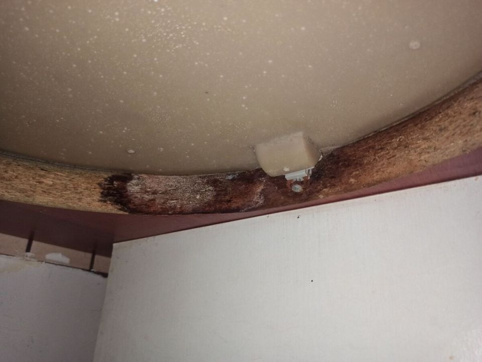 ���������� �����: ������� � ����� ���� � �� ����� � �����������