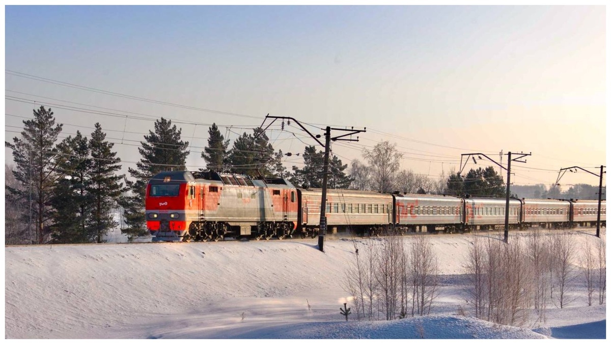 Госдума запускает борьбу с перепродажей билетов на поезда