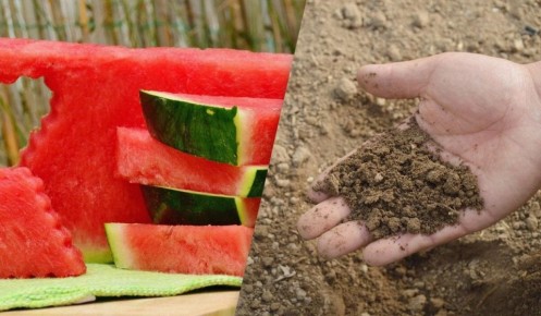 ��� ������ � ��������� �������: �������� ������ ��� �����������