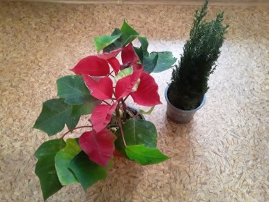 ����������: ��� ��������� �������������� ������ � �������� ��������