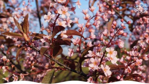 ������ ������� �����������: ����� ������� �����������