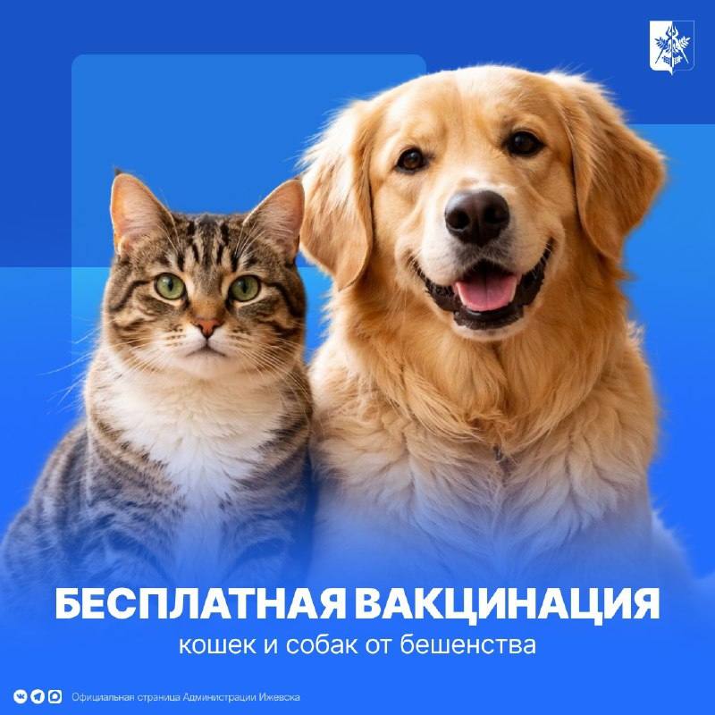 Ижевчане могут бесплатно вакцинировать своего четвероногого любимца