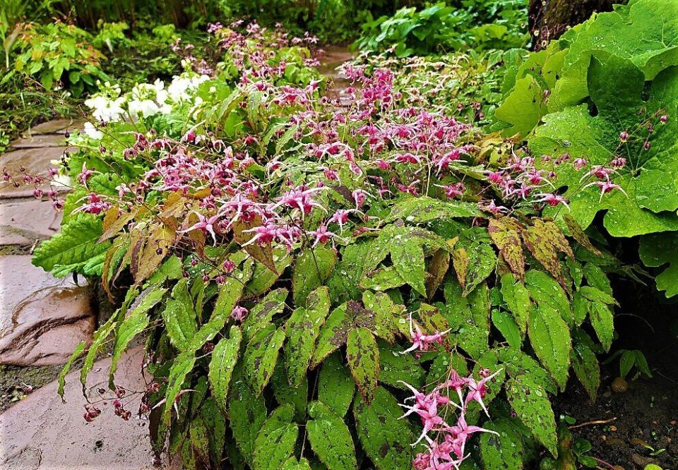 ������������ ������������ ��� ��������� ����, ������� ����� �����������