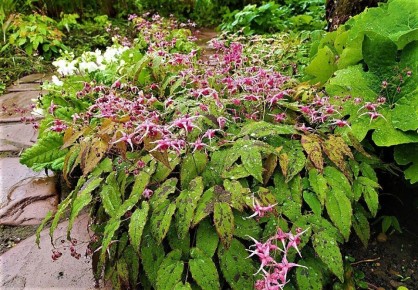 ������������ ������������ ��� ��������� ����, ������� ����� �����������