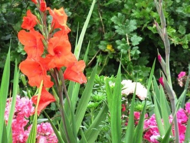 ��� ���������� ������������� ���������� � ������ ���� ��� ������ ��������