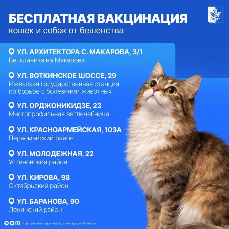 Ижевчане могут бесплатно вакцинировать своего четвероногого любимца Ижевчане могут бесплатно вакцинировать своего четвероногого любимца