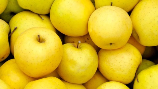 ������, ������� �� �����������: ��������� � ��������� ����