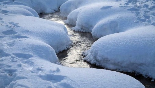Многие знают пословицу «большие снега — малые воды»