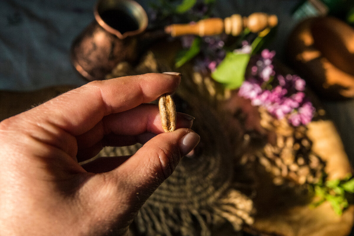 Как вырастить экзотические растения из косточек супермаркета