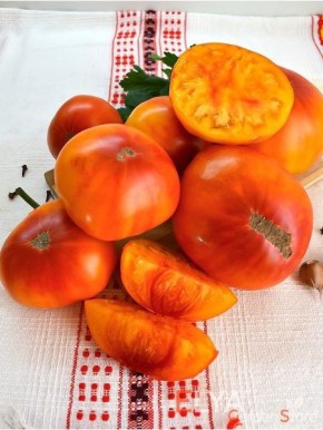 Казахский шевалье: томат с уникальным вкусом и богатой историей