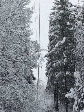 ������� � �����-���������� ������ �������� ����������� ���������� ������������� ��-�� ������� �����, �������� �����-������ ������������� ������