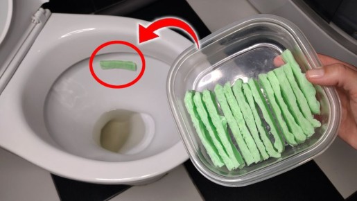 ��� ������� ��������� �������� ��������� ��� ������� ������ ������