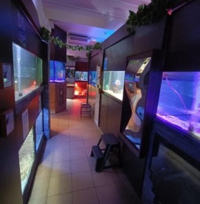 В Ижевске выявили нарушения в контактном зоопарке